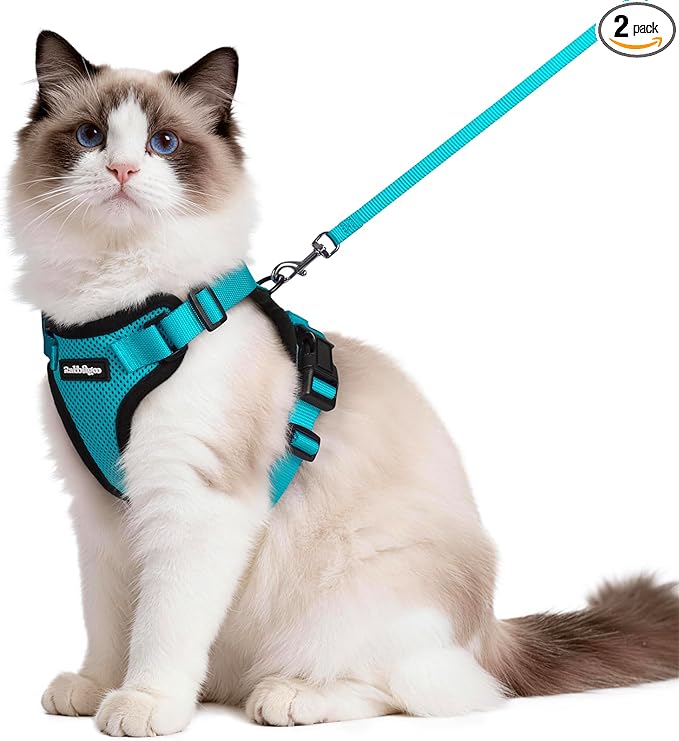 rabbitgoo Cat Harness and Leash Set, Escape Proof Vest Harness by rabbitgoo