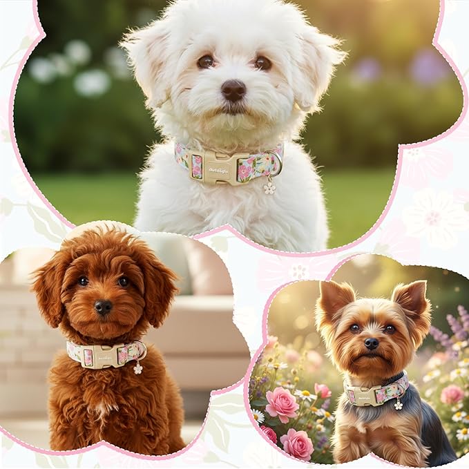 Dog Collar for Small Medium Large Dogs, Spring Blue Dog Collars - Image 5