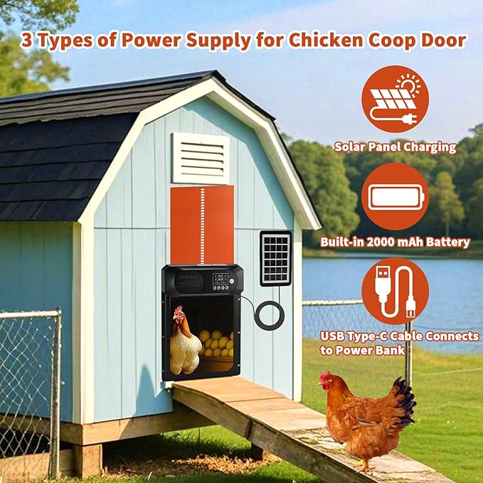 Automatic Chicken Coop Door Solar Powered - Image 3