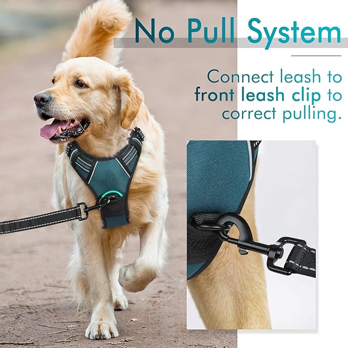 rabbitgoo Dog Harness No Pull - Image 6