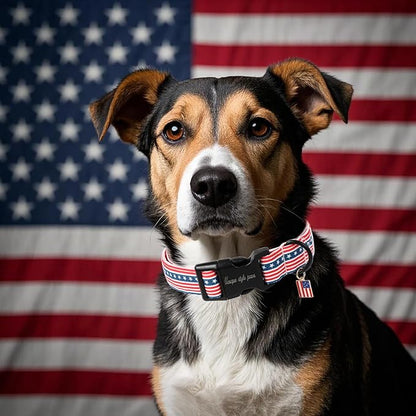 Unique style paws Dog Collar Plastic Buckle - Image 5