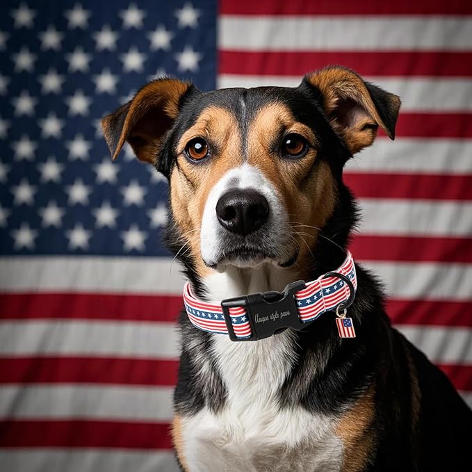 Unique style paws Dog Collar Plastic Buckle - Image 5