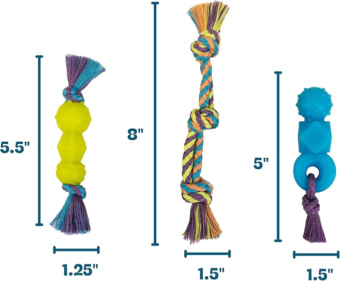 Mini Dentachew Pack Dental Chew Toy, Fetch & Tug Rope, Puppies & Small Dogs - Image 6