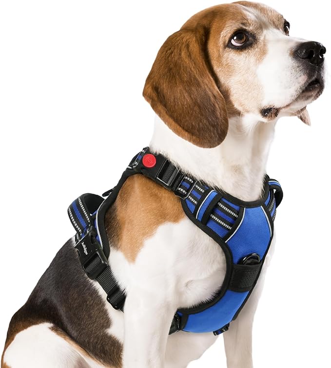 rabbitgoo Dog Harness Medium Sized, No Pull Easy On & Off by rabbitgoo
