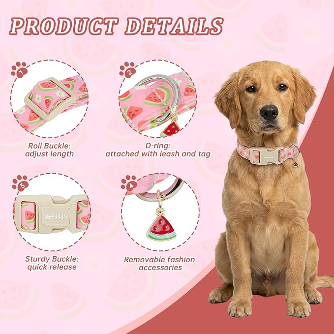 Pink Dog Collar with Watermelon - Image 2