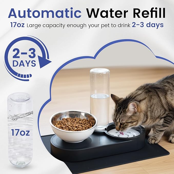 Raised Dog Cat Food Bowl, Cat Food and Water Bowl Set - Image 5