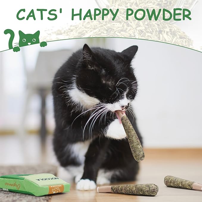 Nocciola 3 Pack Catnip Toys for Cats, Funny Cat Toys Filled - Image 3