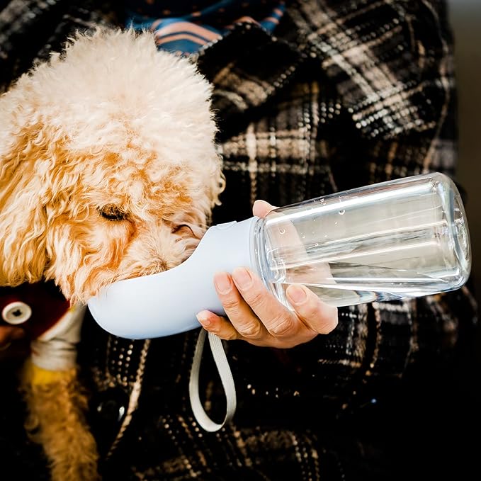 Mr. Pen- Portable Dog Water Bottle, 19 oz, Leak Proof Puppy Water Dispenser - Image 9