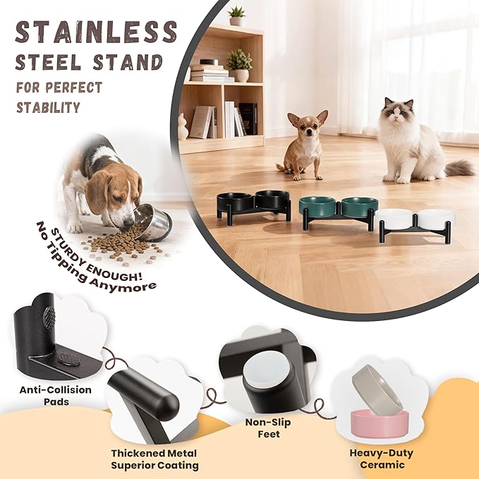 Raised Ceramic Dog Bowl Set - Image 3