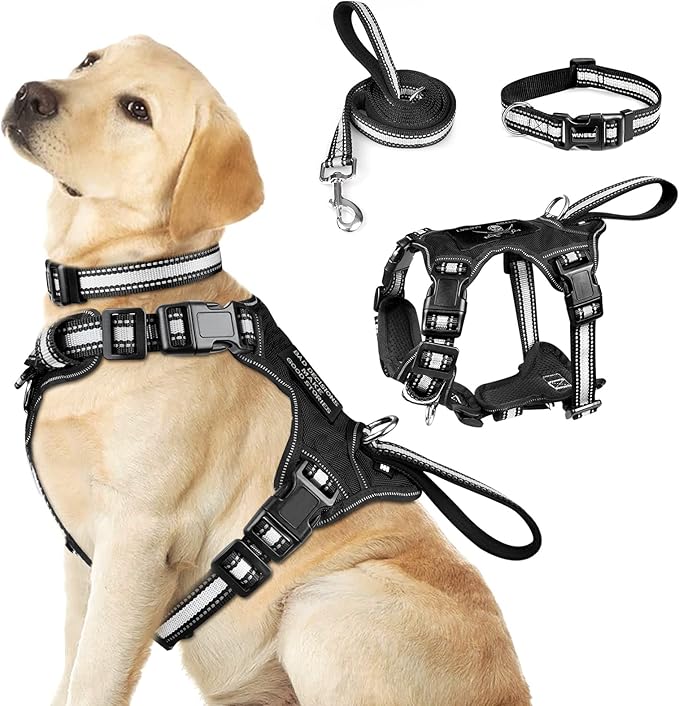 WINSEE Pet Harness Collar and Leash Set, All-in-one Reflective Dog Harness No by WINSEE