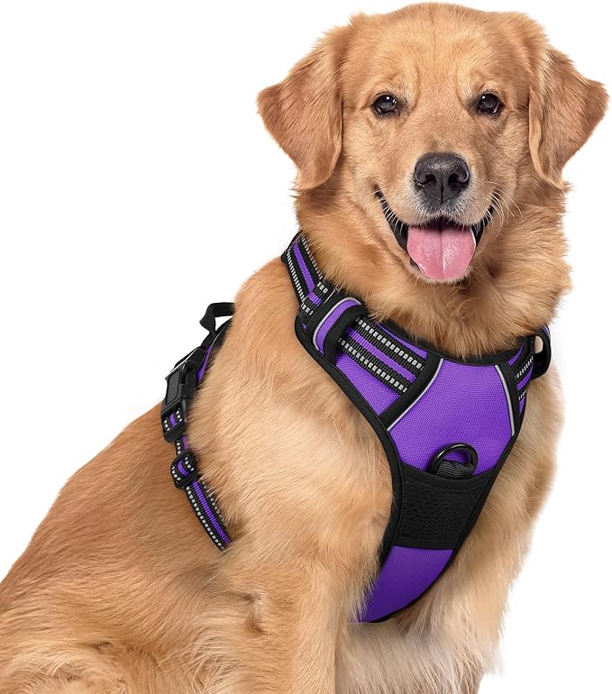 rabbitgoo Dog Harness No Pull by rabbitgoo