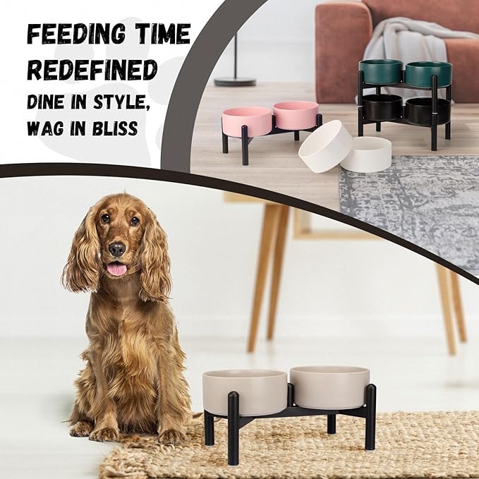 Raised Ceramic Dog Bowl Set - Image 8