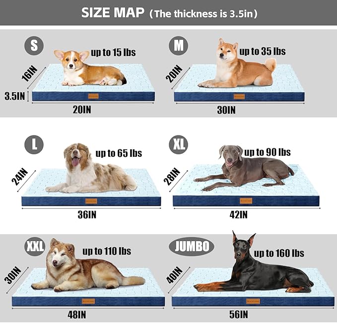 Patas Lague Orthopedic Dog Bed Large Sized Dog 36''X24'', Waterproof Soft - Image 5