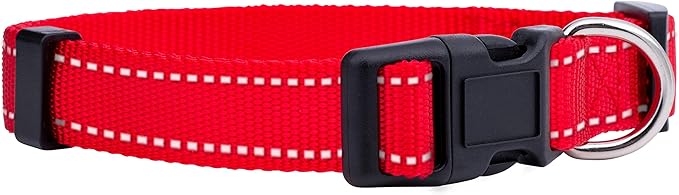 Native Pup Reflective Dog Collar, Bright Glow Colors by NativePup
