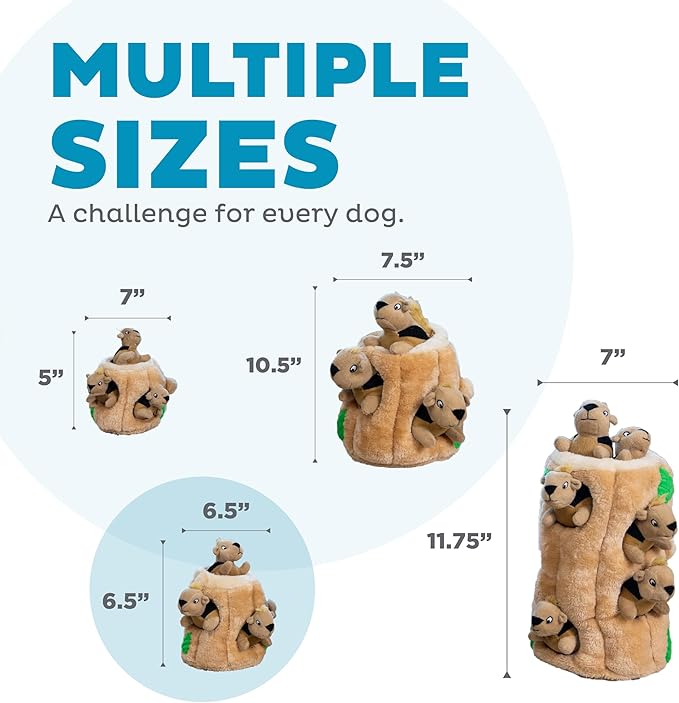 Outward Hound Hide-A-Squirrel Dog Toy – Interactive 2‑in‑1 Plush Puzzle - Image 3