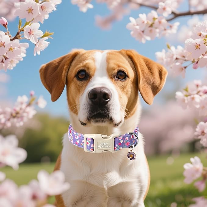 Unique style paws Dog Collar Plastic Buckle - Image 4
