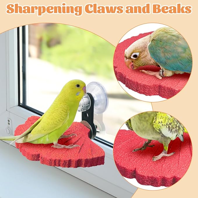 3PCS Bird Beak Grinding Stone - Image 5