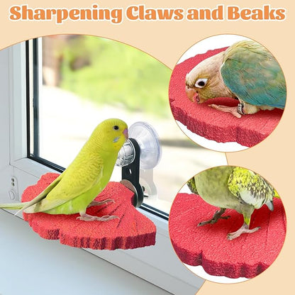 3PCS Bird Beak Grinding Stone - Image 5
