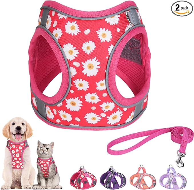 Step in Dog Harness and Leash Set, Flower Adjustable Easy Walk Puppy Harnesses by Flymind
