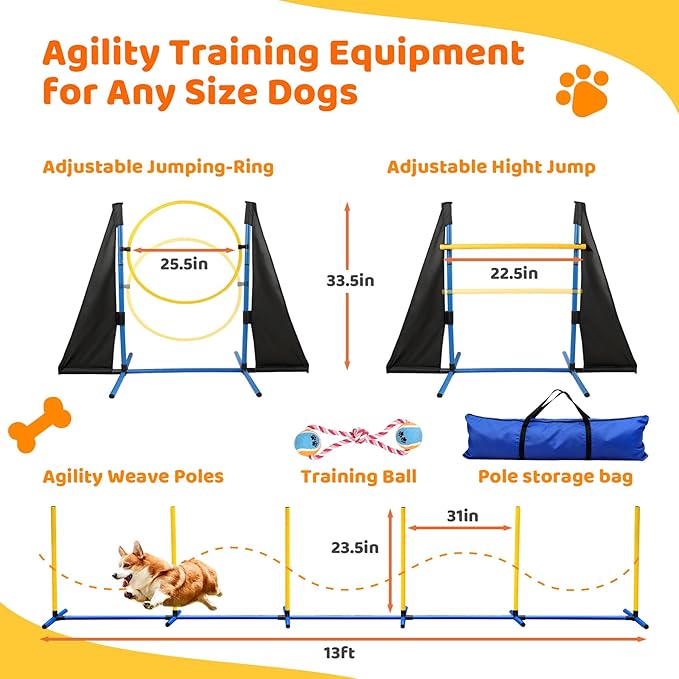 POPMOON Agility Training Equipment - Image 4