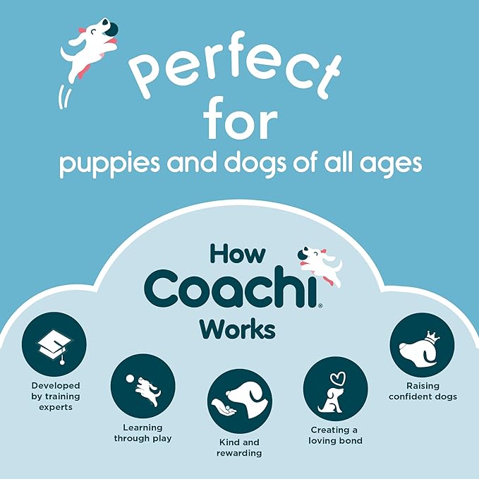 Company of Animals Coachi Target Stick, Telescopic Design - Image 6