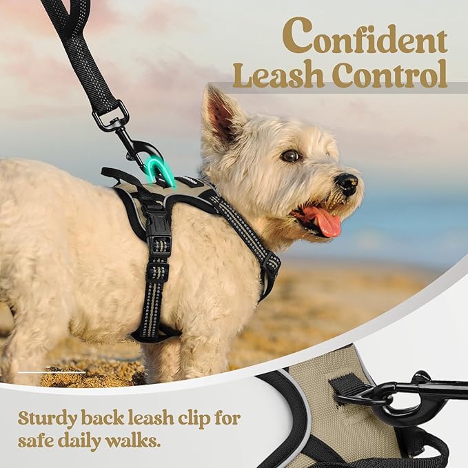 rabbitgoo Dog Harness No Pull - Image 6