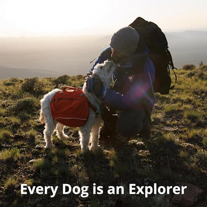 Ruffwear, Crag Dog Collar, Stylish Adventure Collar - Image 9