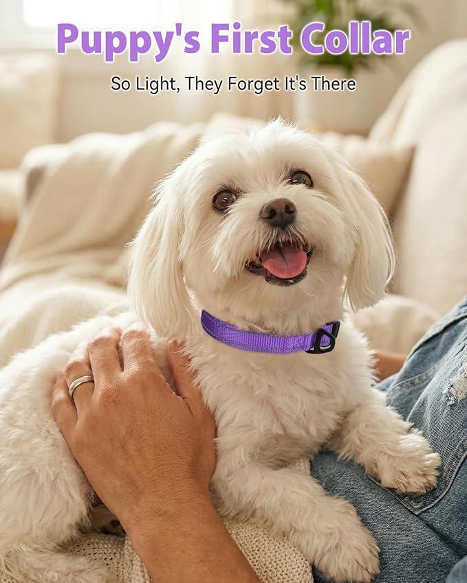 Joytale Small Dog Collar, Durable Double-Sided Reflective Nylon Collar - Image 2
