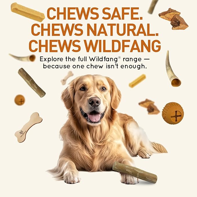 Wildfang® Coffee Wood Dog Chew, XS – Tough Chew Toys - Image 7