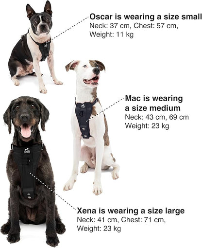 Kurgo Enhanced Strength Tru-Fit Dog Car Harness - Image 6