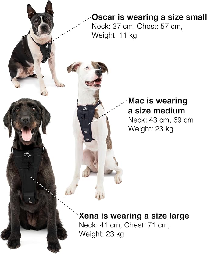 Kurgo Enhanced Strength Tru-Fit Dog Car Harness - Image 7