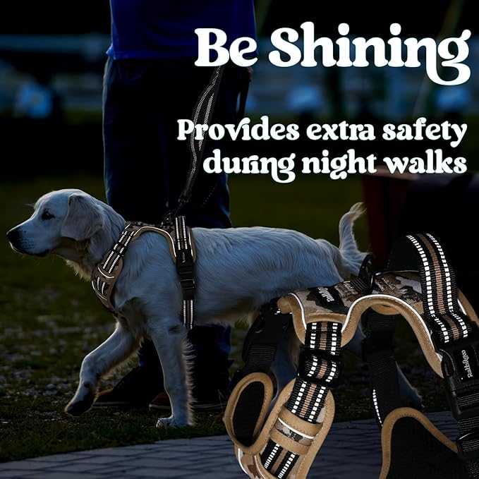 rabbitgoo Dog Harness Small Sized, No Pull Easy On & Off - Image 9
