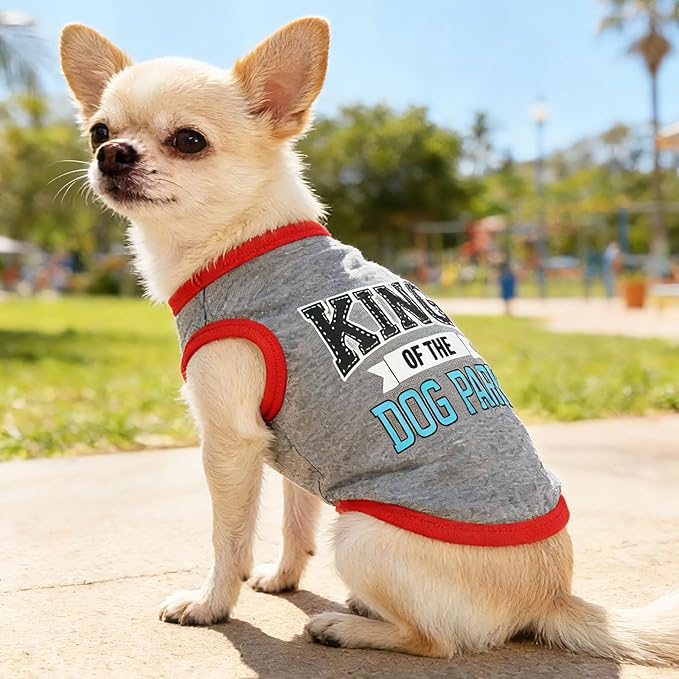 4 Pieces Dog Clothes for Small Dogs Boy Dog Shirt Puppy Clothes for Chihuahua - Image 3