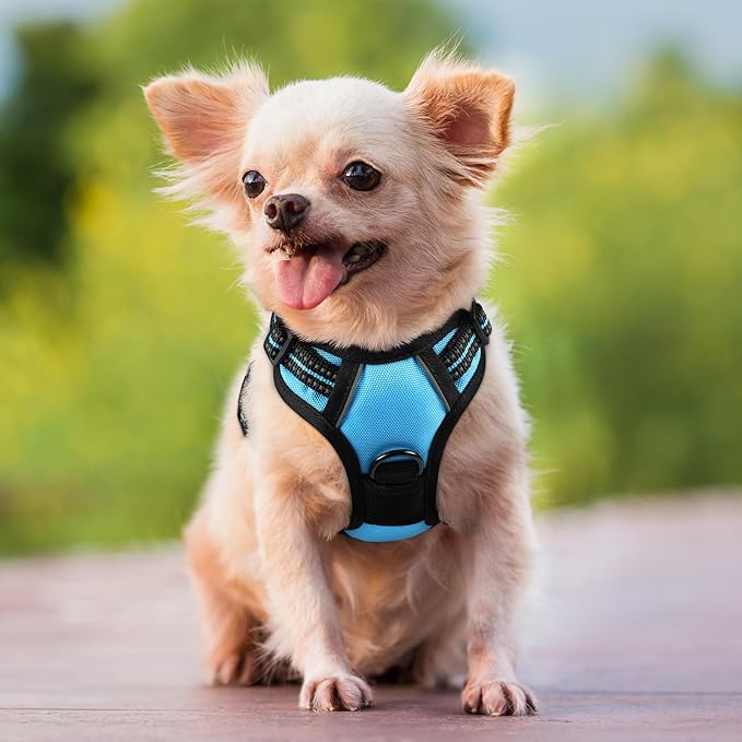 rabbitgoo Dog Harness No Pull - Image 8