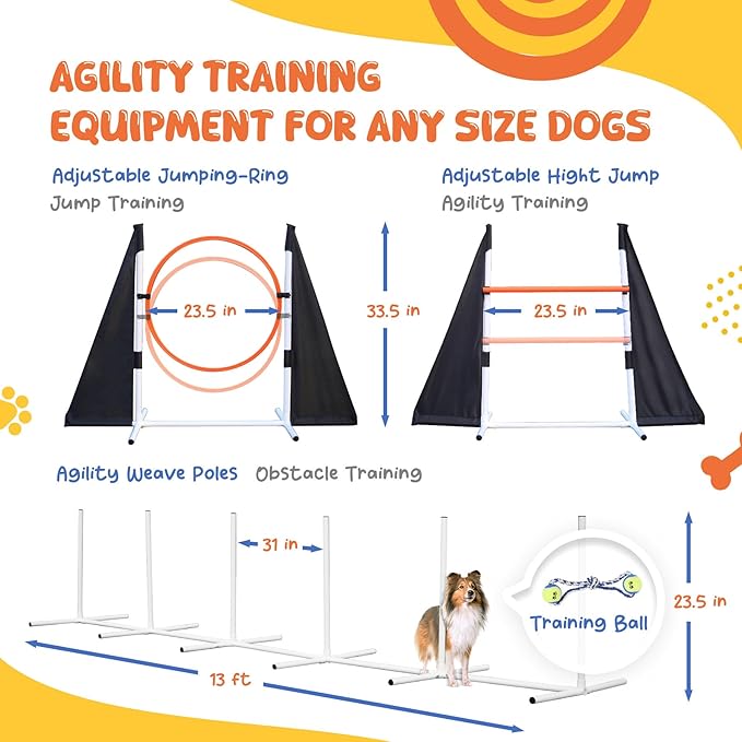 POPMOON Agility Training Equipment - Image 5