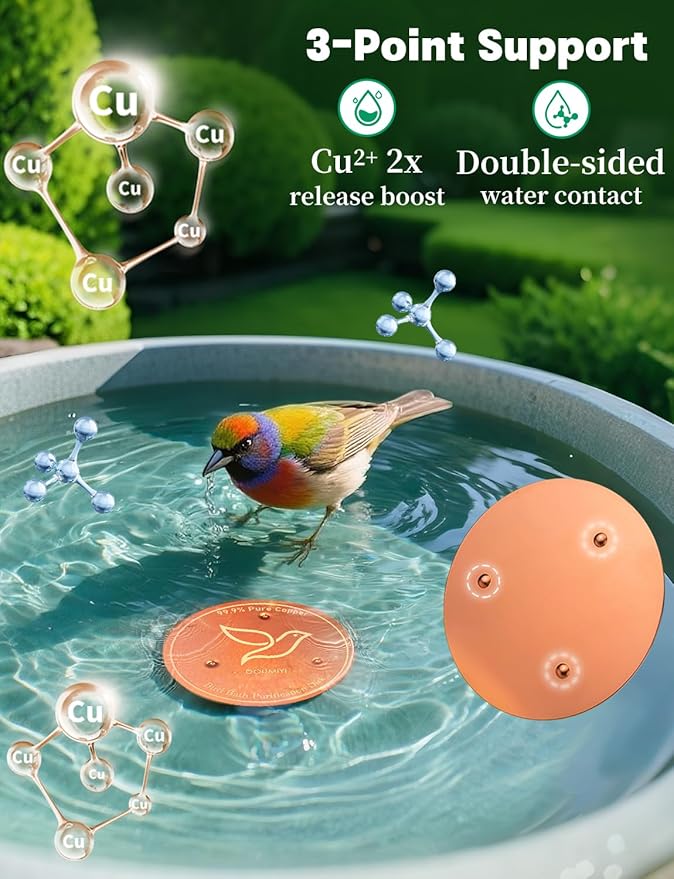 2-Pack Bird Bath Copper Disk, 0.6mm Thick 99.9% Pure Copper Cleaning Disk - Image 5