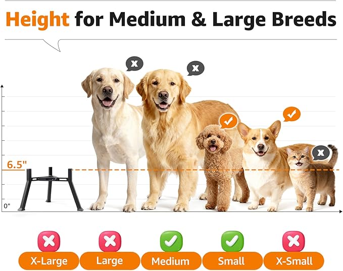 LOOBANI Double Dog Bowl Stand: 2-in-1 Elevated Food Water Bowl, Adjustable - Image 7