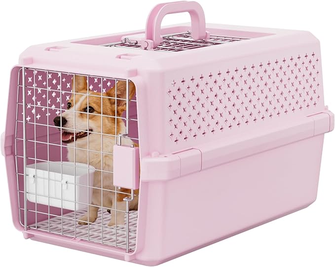 RIZZARI Pets Spree Hard-Sided Pink Pet Carrier, Portable Crate by RIZZARI