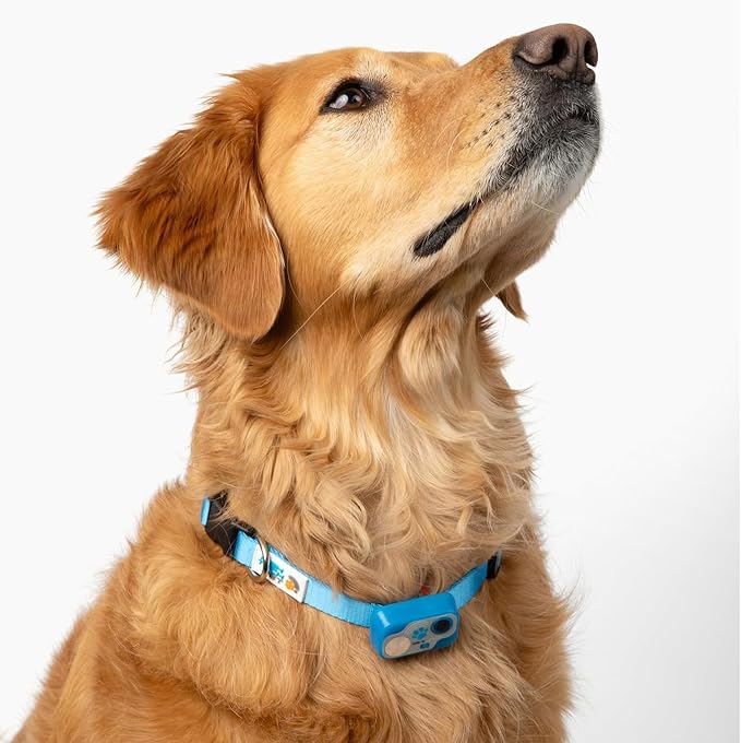 Genuine MS-5® Designer Series Automatic Pet Door Collar Tested & Certified by - Image 5