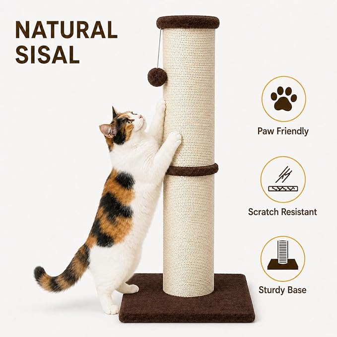 PAWSCRAT Cat Scratching Post 32 Inch High, 5.5 Inch Large Diameter Natural - Image 3
