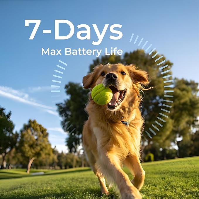 Gen 2 Dog Tracker No Subscription - Image 4