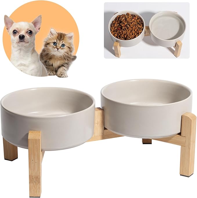 Elevated Ceramic Dog Bowl Set by PTOBER