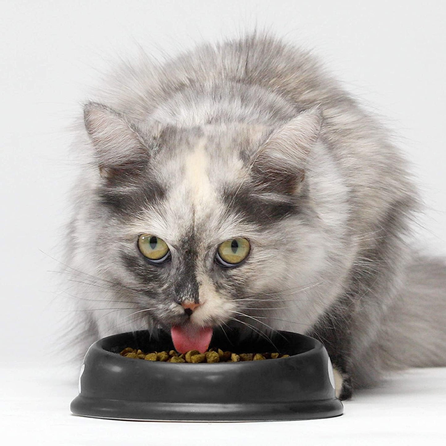 Open Farm Pasture-Raised Lamb Grain-Free Dry Cat Food, Humanely Raised Lamb Recipe with Non-GMO Superfoods and No Artificial Flavors or Preservatives, 2 lbs