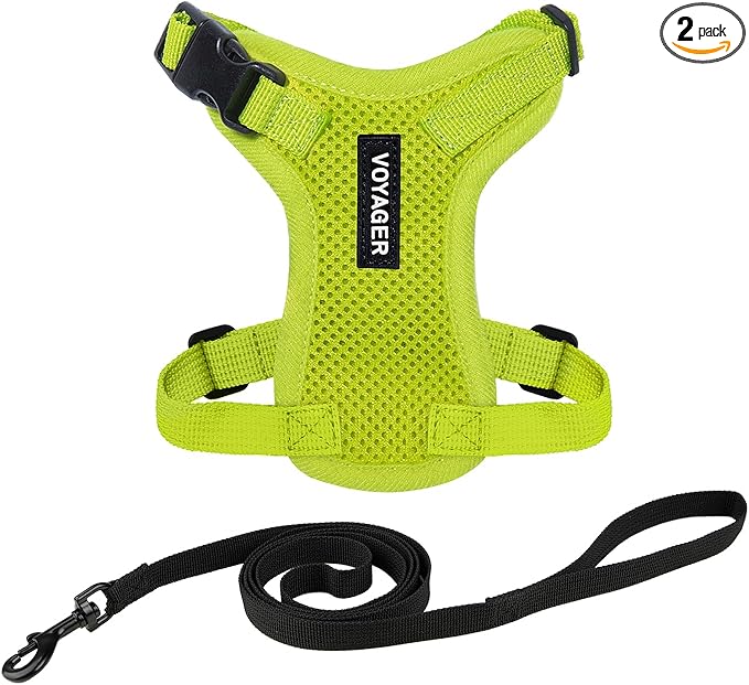 Voyager Escape-Proof Step-in Lock Cat Harness & 5ft Neoprene-Handle Leash Set by BestPetSuppliesLLC