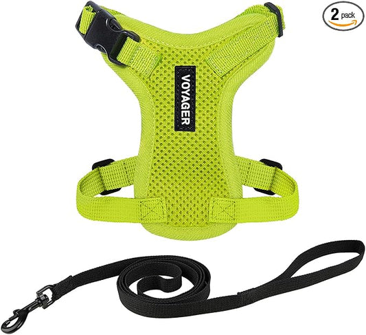 Voyager Escape-Proof Step-in Lock Cat Harness & 5ft Neoprene-Handle Leash Set by BestPetSuppliesLLC