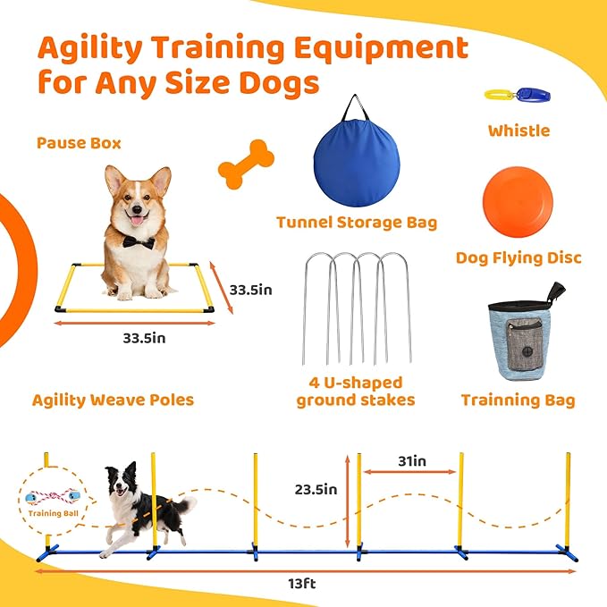 POPMOON Agility Training Equipment - Image 5