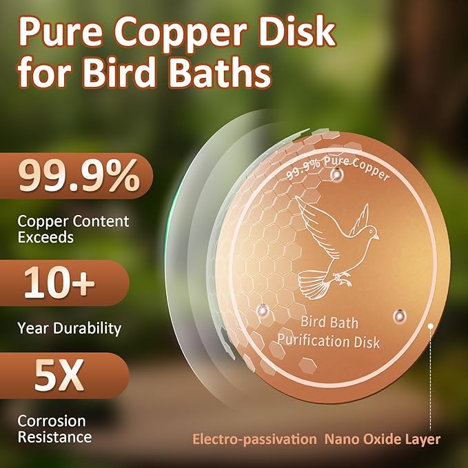 Bird Bath Copper Discs - Image 5