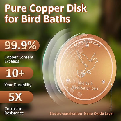 Bird Bath Copper Discs - Image 5