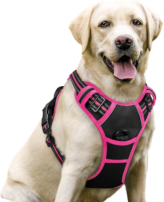 rabbitgoo Dog Harness No Pull by rabbitgoo