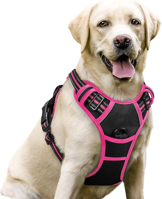rabbitgoo Dog Harness No Pull by rabbitgoo